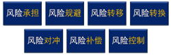 2015注冊會計(jì)師公司戰(zhàn)略與風(fēng)險(xiǎn)管理重要考點(diǎn)1